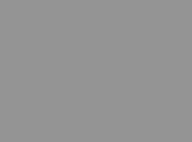 Rounded Rectangle 10 copy